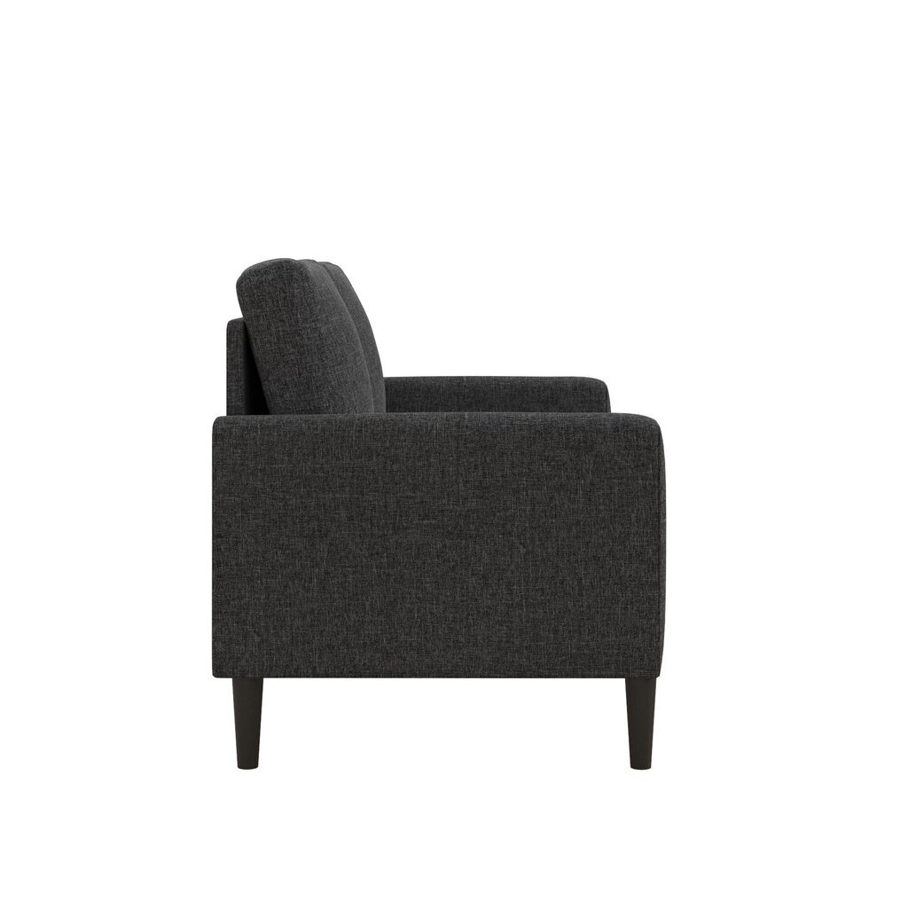 Diivan Kaci Loveseat, hall hind ja info | Diivanid ja diivanvoodid | kaup24.ee