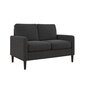 Diivan Kaci Loveseat, hall hind ja info | Diivanid ja diivanvoodid | kaup24.ee