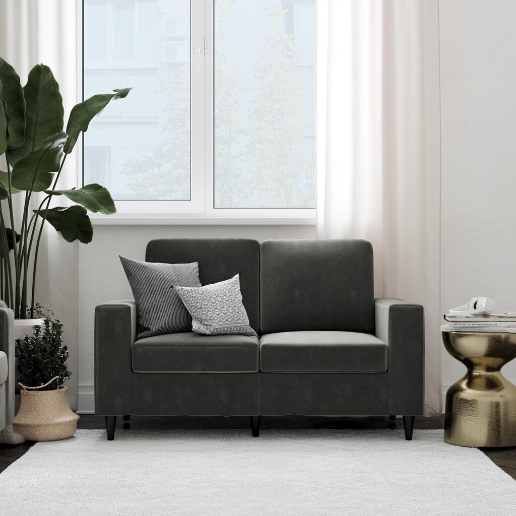 Diivan Cooper Loveseat, hall hind ja info | Diivanid ja diivanvoodid | kaup24.ee