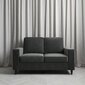 Diivan Cooper Loveseat, hall hind ja info | Diivanid ja diivanvoodid | kaup24.ee