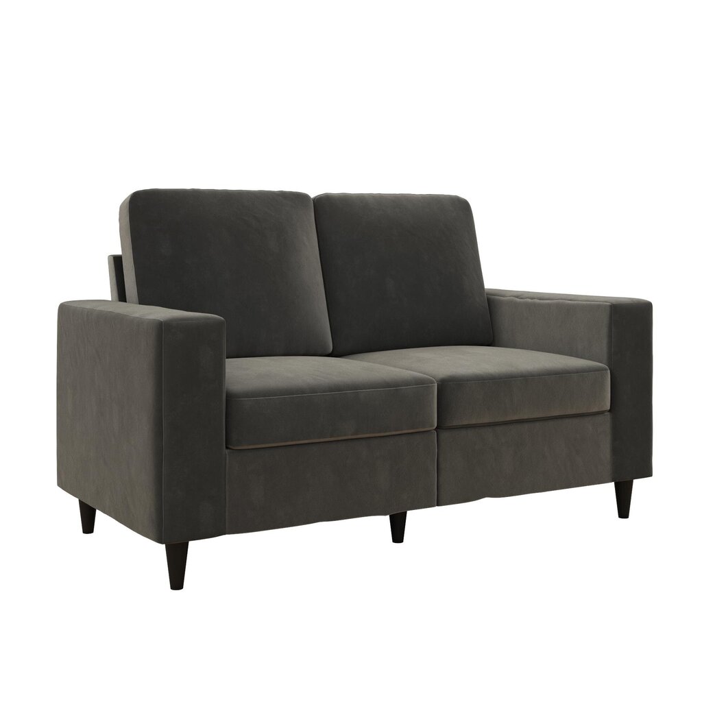 Diivan Cooper Loveseat, hall hind ja info | Diivanid ja diivanvoodid | kaup24.ee