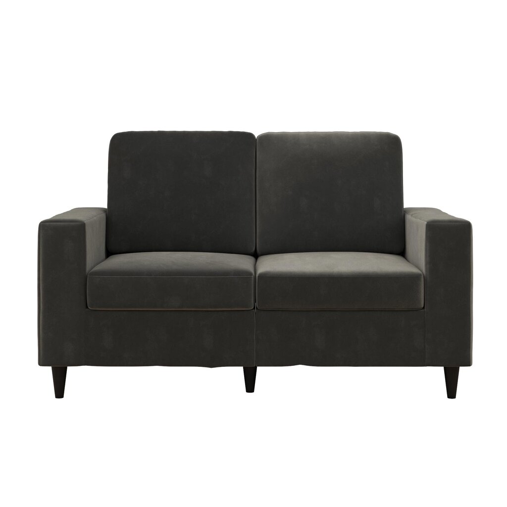 Diivan Cooper Loveseat, hall hind ja info | Diivanid ja diivanvoodid | kaup24.ee