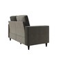 Diivan Cooper Loveseat, hall hind ja info | Diivanid ja diivanvoodid | kaup24.ee