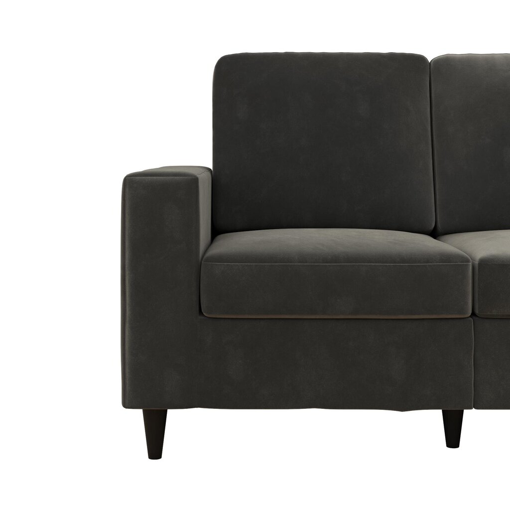 Diivan Cooper Loveseat, hall hind ja info | Diivanid ja diivanvoodid | kaup24.ee