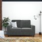 Diivan Cooper Loveseat, hall hind ja info | Diivanid ja diivanvoodid | kaup24.ee