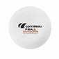 Lauatennise pallid Cornilleau P-Ball Outdoor цена и информация | Lauatennise pallid | kaup24.ee