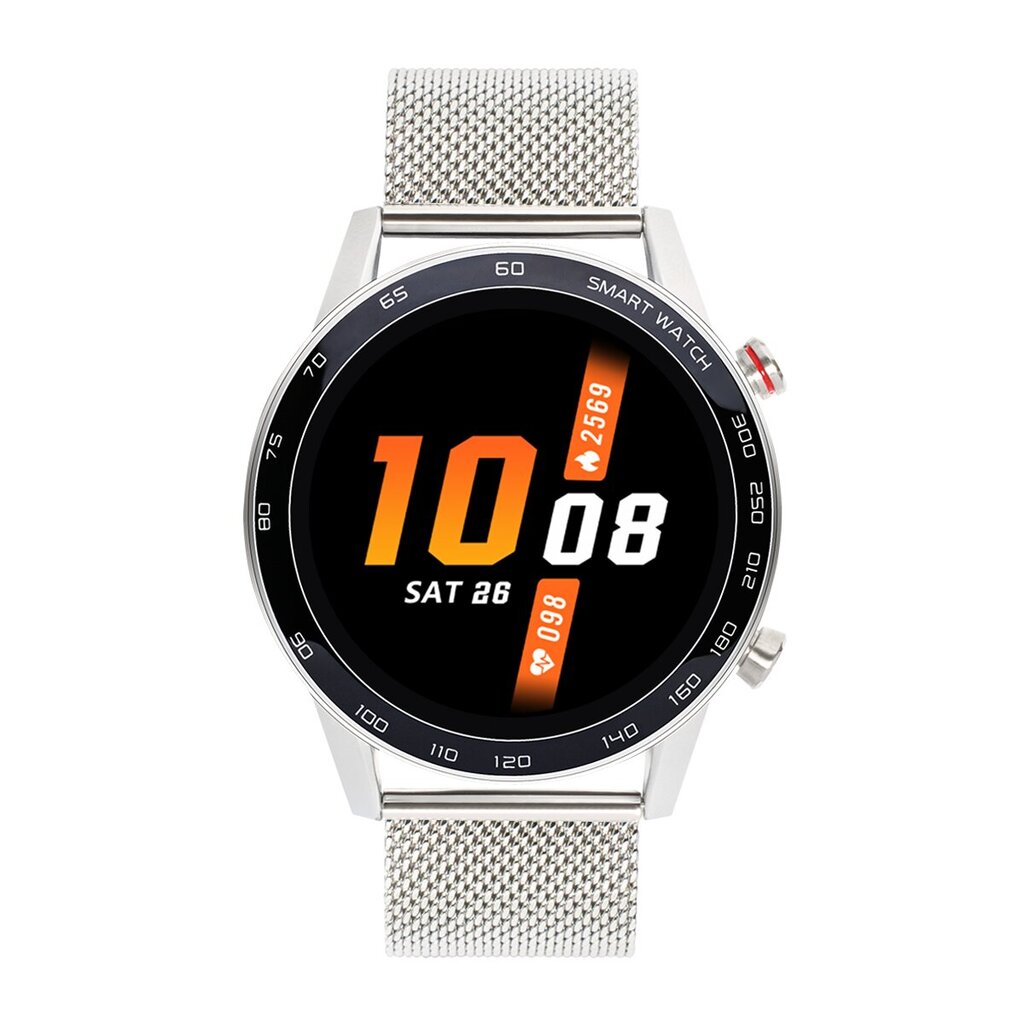 WDT95 Silver Steel цена и информация | Nutikellad (smartwatch) | kaup24.ee