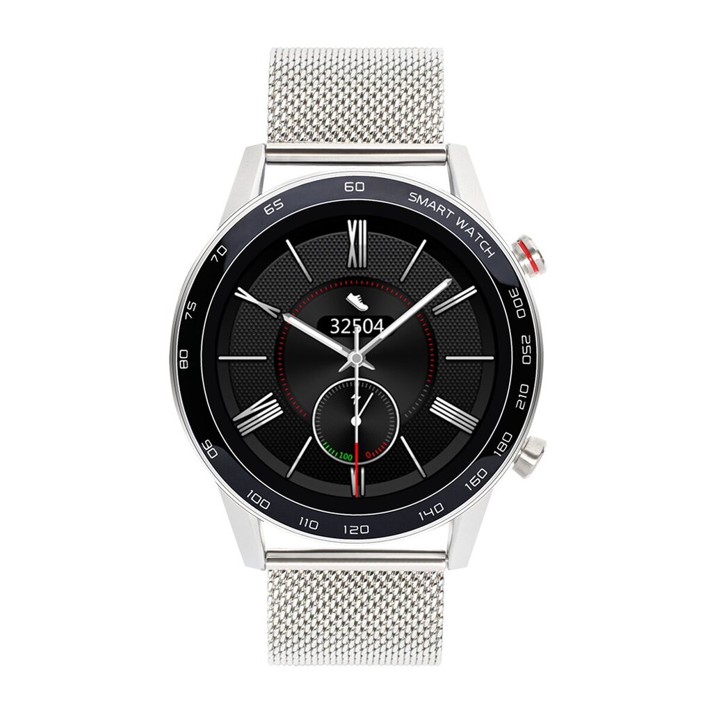 WDT95 Silver Steel hind ja info | Nutikellad (smartwatch) | kaup24.ee