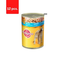 Консервы для собак PEDIGREE Junior с курицей, 400 г x 12 шт. цена и информация | Консервы для собак | kaup24.ee