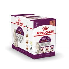 Konserv kassidele Royal Canin Sensory Smell Taste Feel Pack Gravy, 3x4x85 g цена и информация | Кошачьи консервы | kaup24.ee