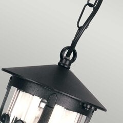 Подвесной уличный светильник Elstead Lighting Hereford BL13B-BLACK цена и информация | Уличное освещение | kaup24.ee