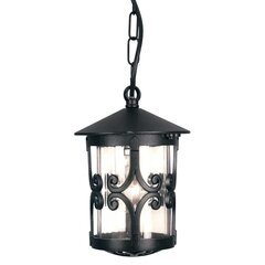 Подвесной уличный светильник Elstead Lighting Hereford BL13B-BLACK цена и информация | Уличное освещение | kaup24.ee