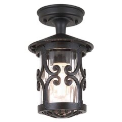 Уличный настенный светильник Elstead Lighting Hereford BL13A-BLACK цена и информация | Уличное освещение | kaup24.ee