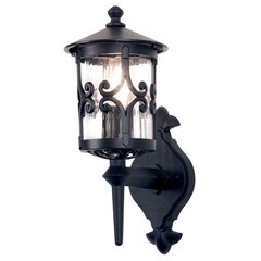 Уличный настенный светильник Elstead Lighting Hereford BL10-BLACK цена и информация | Уличное освещение | kaup24.ee