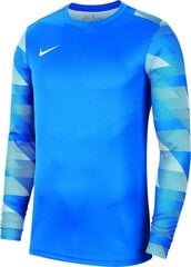 Джемпер Nike Y Park IV GK Boys CJ6072 463, синий цена и информация | Футбольная форма и другие товары | kaup24.ee