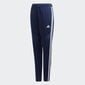 Lühikesed püksid Adidas, sinine hind ja info | Jalgpalli varustus ja riided | kaup24.ee