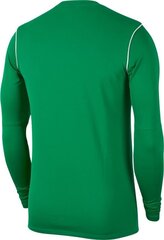 T-särk Nike JR Park 20, roheline hind ja info | Jalgpalli varustus ja riided | kaup24.ee