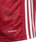 Särk Adidas Arsenal FC, punane hind ja info | Jalgpalli varustus ja riided | kaup24.ee