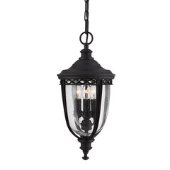 Подвесной светильник для улицы Elstead Lighting English bridle FE-EB8-M-BLK цена и информация | Уличное освещение | kaup24.ee