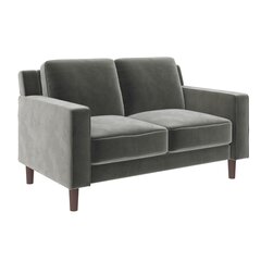 Диван Brynn Loveseat, серый цвет цена и информация | Диваны | kaup24.ee