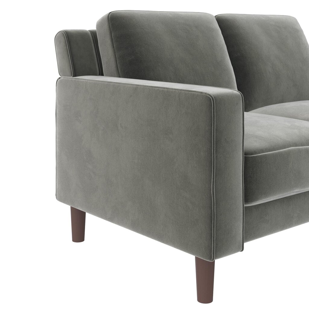 Diivan Brynn Loveseat, hall hind ja info | Diivanid ja diivanvoodid | kaup24.ee