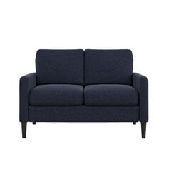 Diivan Kaci Loveseat, sinine hind ja info | Diivanid ja diivanvoodid | kaup24.ee