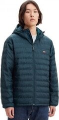 Мужская куртка Levi`s, зеленая цена и информация | Мужские куртки | kaup24.ee