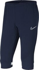 Штаны Nike Dry Academy, синие цена и информация | Футбольная форма и другие товары | kaup24.ee