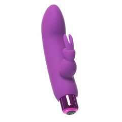 Vibraator Alice's Bunny Purple hind ja info | Vibraatorid | kaup24.ee