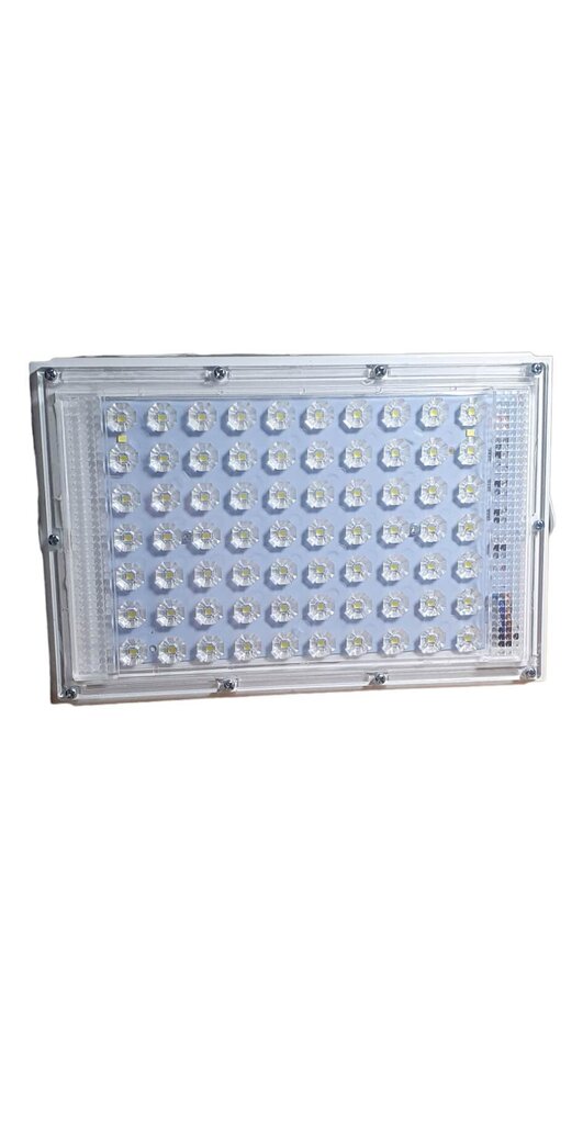 LED lamp 100w hind ja info | Aia- ja õuevalgustid | kaup24.ee