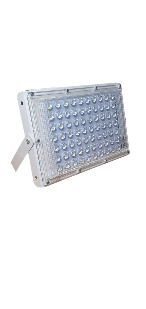 LED lamp 100w hind ja info | Aia- ja õuevalgustid | kaup24.ee