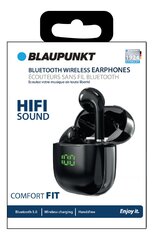 Blaupunk BLP 4899 BT, TWS BLP4899-133 цена и информация | BLAUPUNKT Компьютерная техника | kaup24.ee