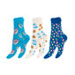 Unisex värvilised sokid Footstar Funny Socks 79045, 3 paari цена и информация | Meeste sokid | kaup24.ee