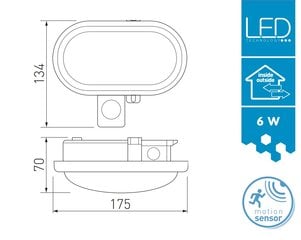 GTV LED-lamp DELTA, 6W, IP54, 4000 K, LD-DELOW6WC-NB hind ja info | Seinavalgustid | kaup24.ee