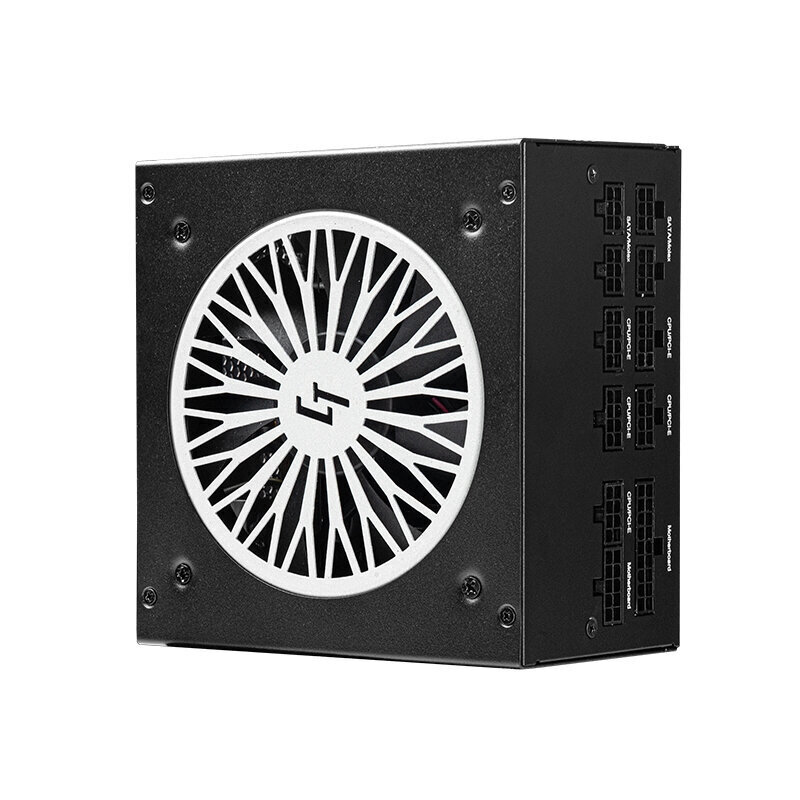 Power Supply|CHIEFTEC|850 Watts|Efficiency 80 PLUS GOLD|PFC Active|GPX-850FC цена и информация | Toiteplokid (PSU) | kaup24.ee