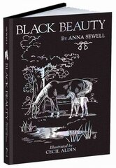 Black Beauty цена и информация | Фантастика, фэнтези | kaup24.ee