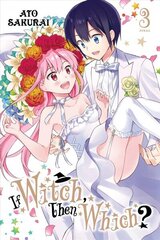If Witch, Then Which?, Vol. 3 цена и информация | Фантастика, фэнтези | kaup24.ee