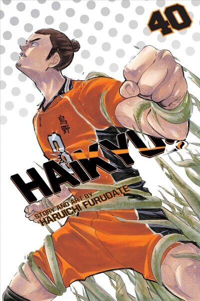 Haikyu! Vol 40 hind ja info | Fantaasia, müstika | kaup24.ee