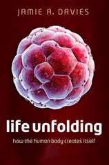 Life Unfolding: How the human body creates itself цена и информация | Книги по экономике | kaup24.ee