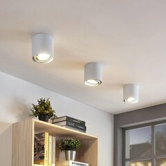 Rosalie LED allvalgusti, reguleeritav hämardus, 1 pirn, ümmargune, valge цена и информация | Потолочные светильники | kaup24.ee