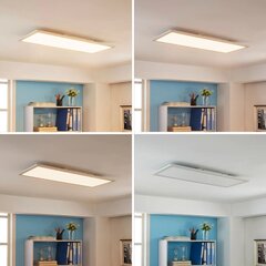Светодиодная панель Arcchio Enja, 79,5 см x 29,5 см цена и информация | Монтируемые светильники, светодиодные панели | kaup24.ee