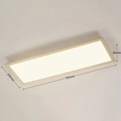 Archchio Enja LED-paneel, 79,5 cm x 29,5 cm hind ja info | Süvistatavad ja LED valgustid | kaup24.ee