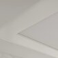 Archchio Nesley LED-paneel, 120 cm, 4000 K, valge цена и информация | Süvistatavad ja LED valgustid | kaup24.ee