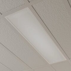 Archchio Nesley LED-paneel, 120 cm, 4000 K, valge hind ja info | Süvistatavad ja LED valgustid | kaup24.ee
