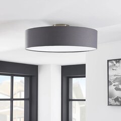 Laevalgusti Sebatin E27 LED-iga, 50 cm, hall цена и информация | Потолочные светильники | kaup24.ee