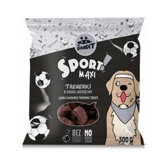 Mr. Bandit Proovige Sport Maxi treeninguid, lambaliha maitset, 500 g цена и информация | Лакомства для собак | kaup24.ee