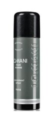 Дезодорант-спрей для мужчин Lomani DEO 200мл цена и информация | Дезодоранты | kaup24.ee