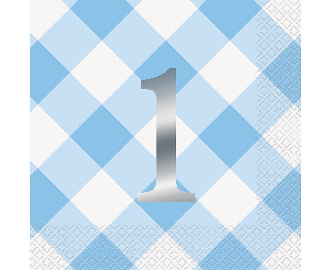 Pabersalvrätikud "Gingham 1st Birthday, blue ", 33 x 33 cm, 16 tk 74932 цена и информация | Ühekordsed nõud | kaup24.ee