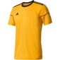 Spordisärk poistele Adidas Squadra 17 M BJ9180 43471 цена и информация | Poiste särgid | kaup24.ee