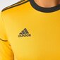 Spordisärk poistele Adidas Squadra 17 M BJ9180 43471 цена и информация | Poiste särgid | kaup24.ee